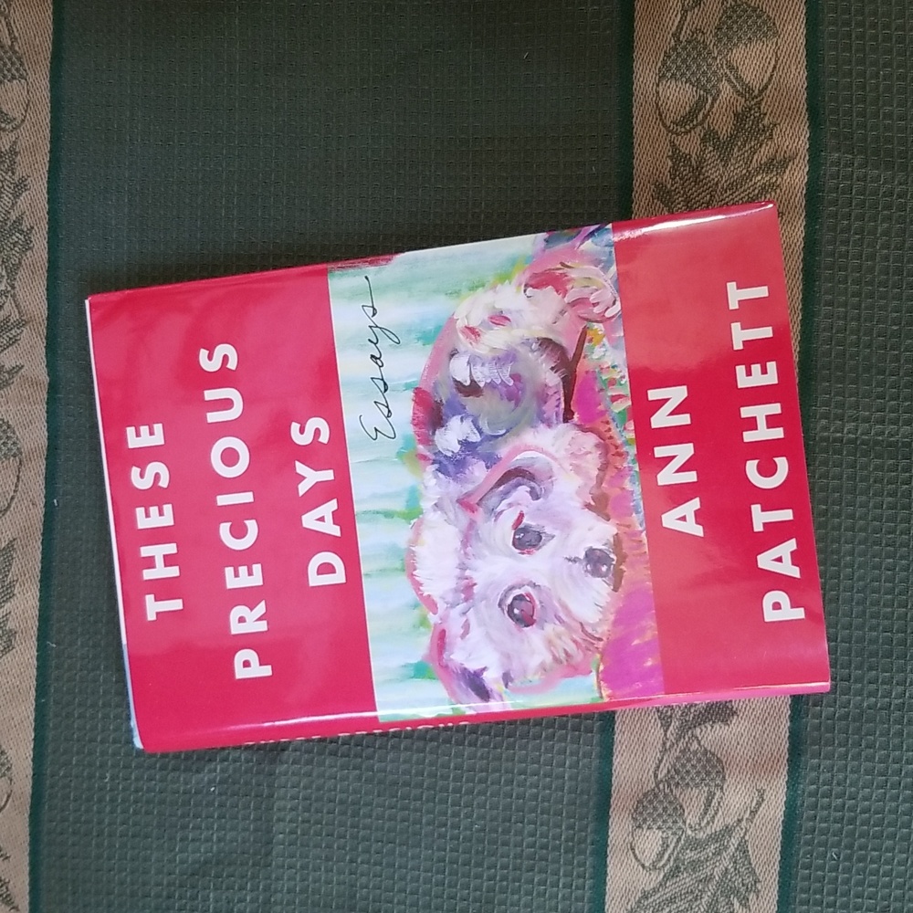 📚THESE PRECIOUS DAYS BOOK